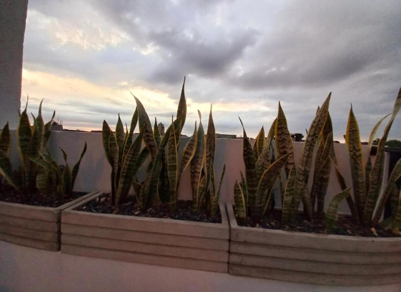 Bp Apartamento